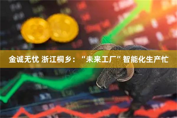 金诚无忧 浙江桐乡：“未来工厂”智能化生产忙