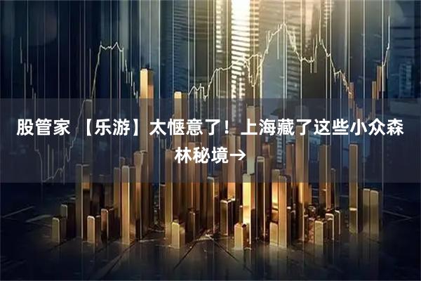 股管家 【乐游】太惬意了！上海藏了这些小众森林秘境→