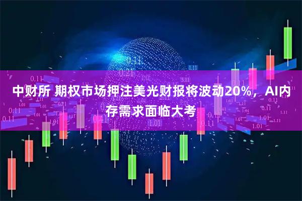 中财所 期权市场押注美光财报将波动20%，AI内存需求面临大考