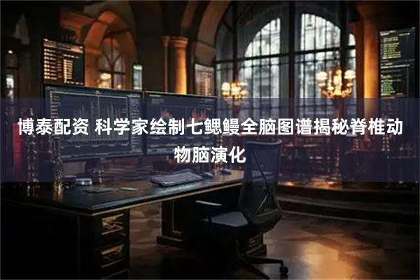 博泰配资 科学家绘制七鳃鳗全脑图谱揭秘脊椎动物脑演化
